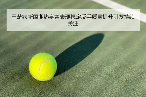 王楚钦新周期热身赛表现稳定反手质量提升引发持续关注